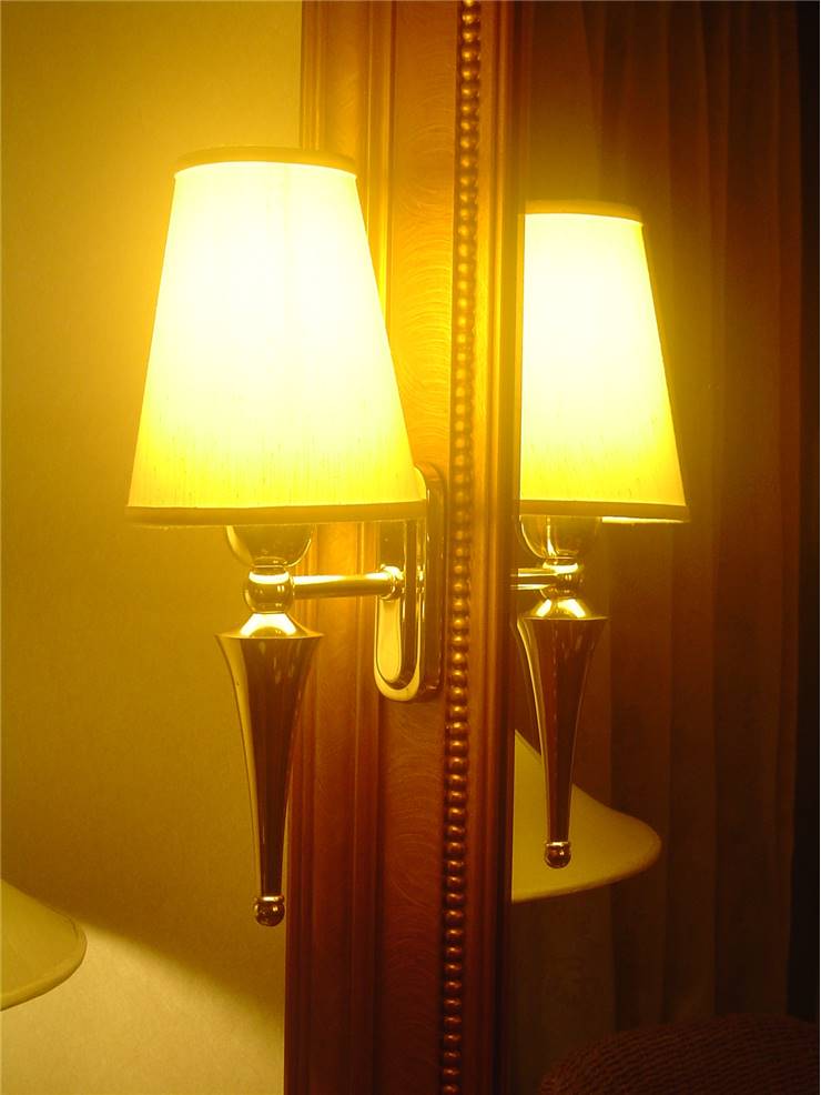 Old Electric Lamp